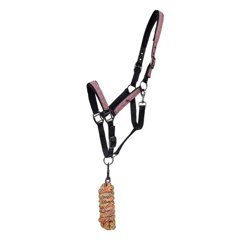 QHP Colorful Headcollar and Leadrope Set - Multi